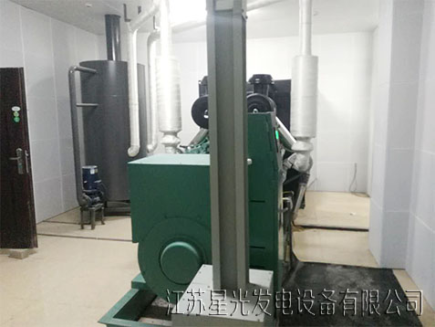 里卡多發(fā)電機組